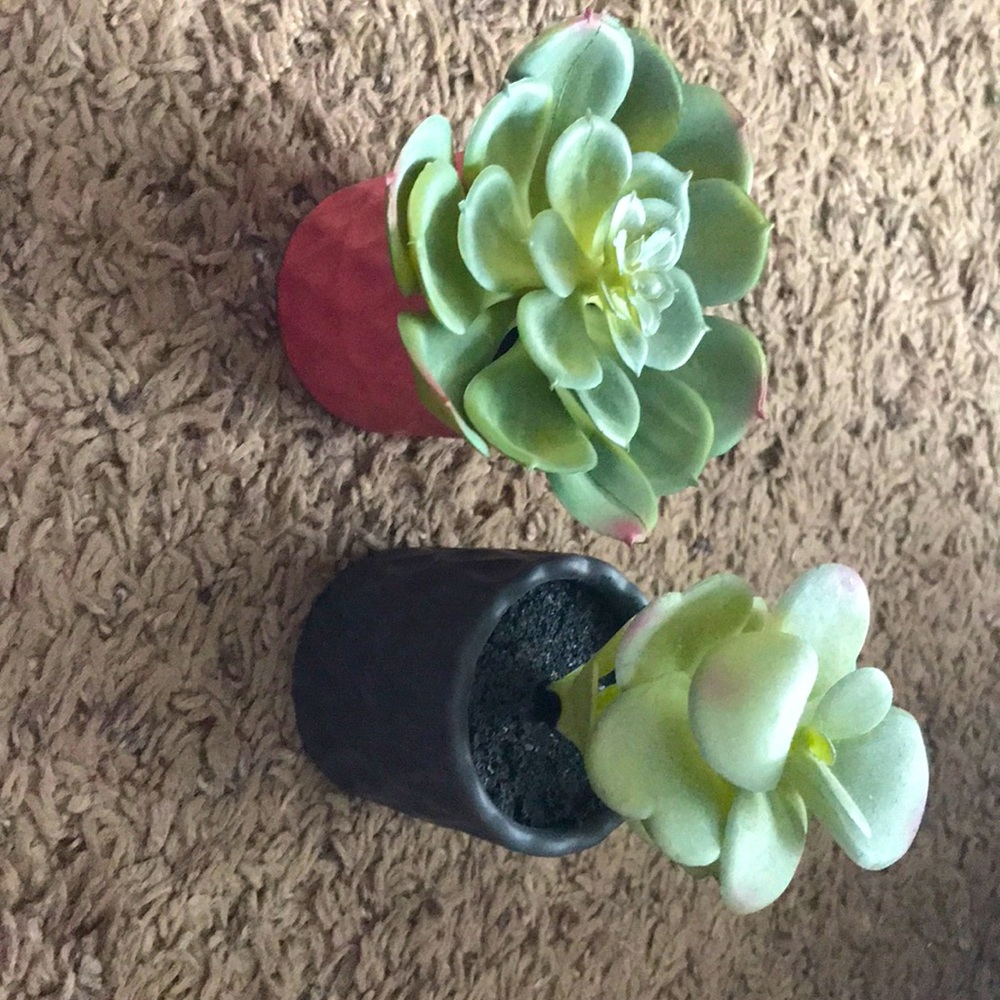 Bought them for this